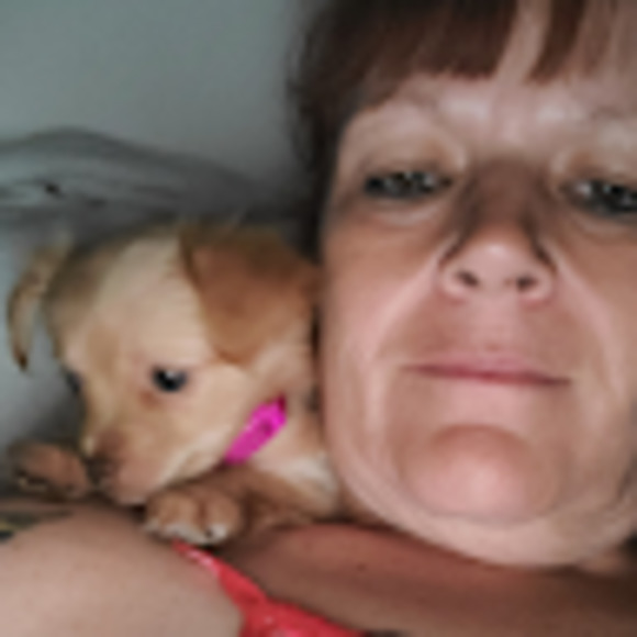 Meet your Posher, Kassy - Picture 1 of 1